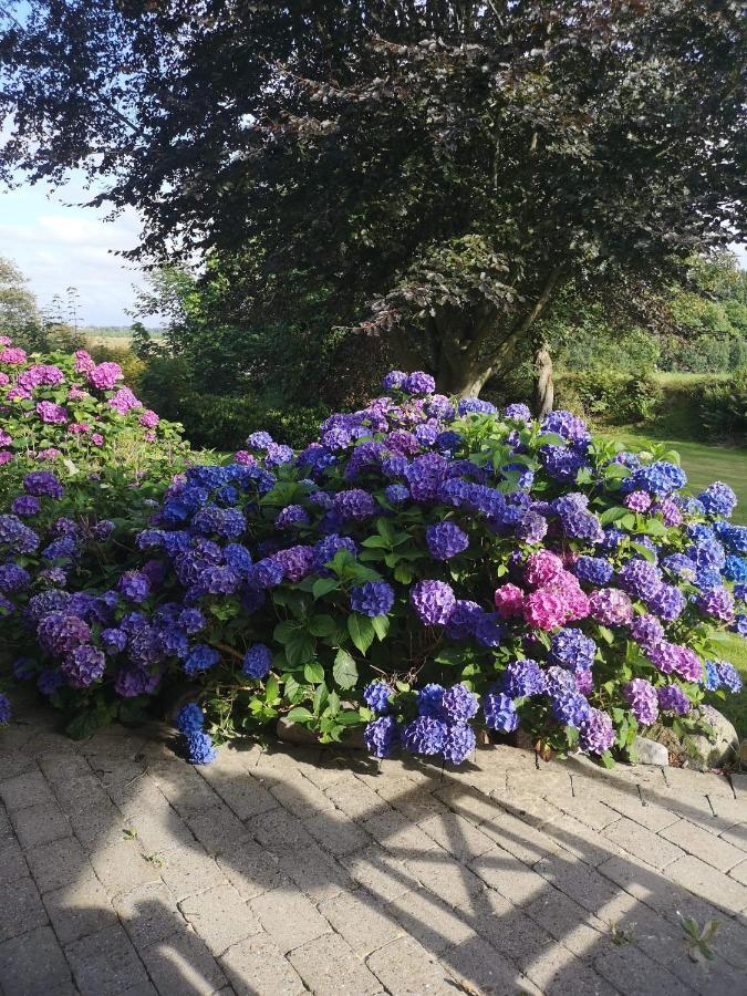Hvirrekaergaard, Midt I Naturen. ヒアツハルス エクステリア 写真